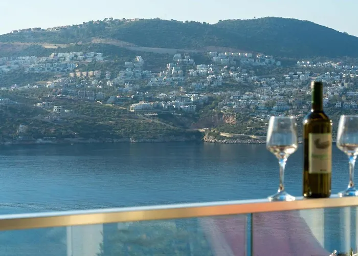 Angel - Harika Manzara